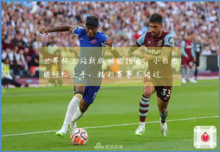 世界杯主站新版功能指南：小白也能轻松上手，精彩赛事不错过