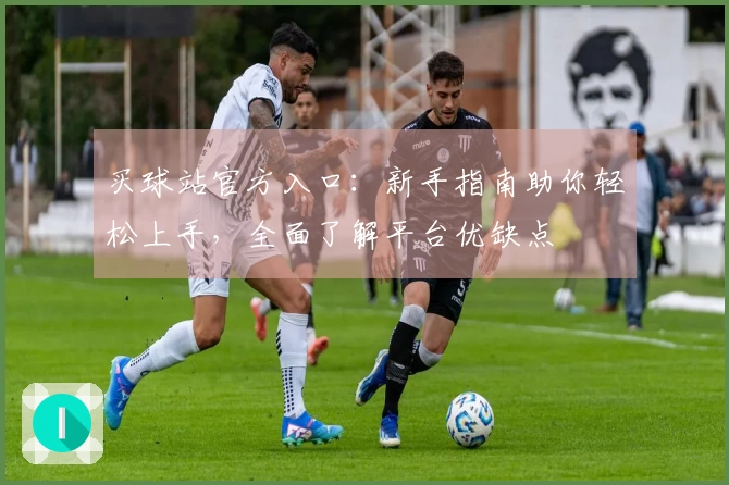 买球站官方入口：新手指南助你轻松上手，全面了解平台优缺点