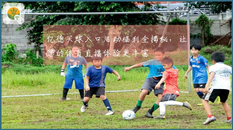 亿德买球入口活动福利全揭秘，让您的体育直播体验更丰富