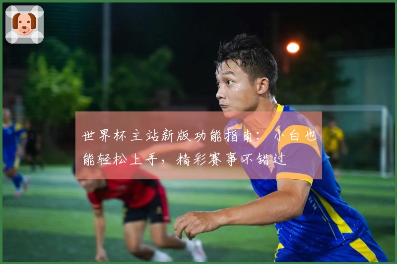 世界杯主站新版功能指南：小白也能轻松上手，精彩赛事不错过