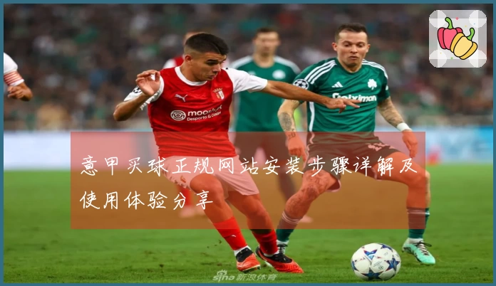意甲买球正规网站安装步骤详解及使用体验分享