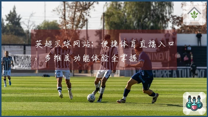 英超买球网站：便捷体育直播入口，多维度功能体验全掌握