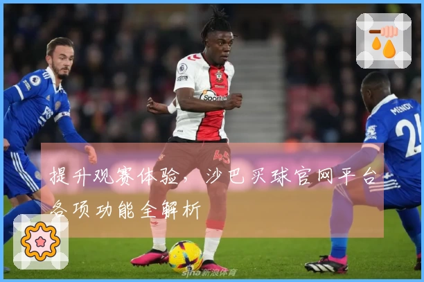 提升观赛体验，沙巴买球官网平台各项功能全解析
