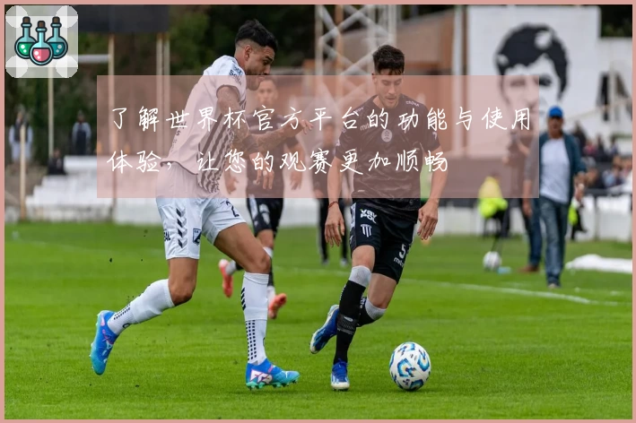 了解世界杯官方平台的功能与使用体验，让您的观赛更加顺畅