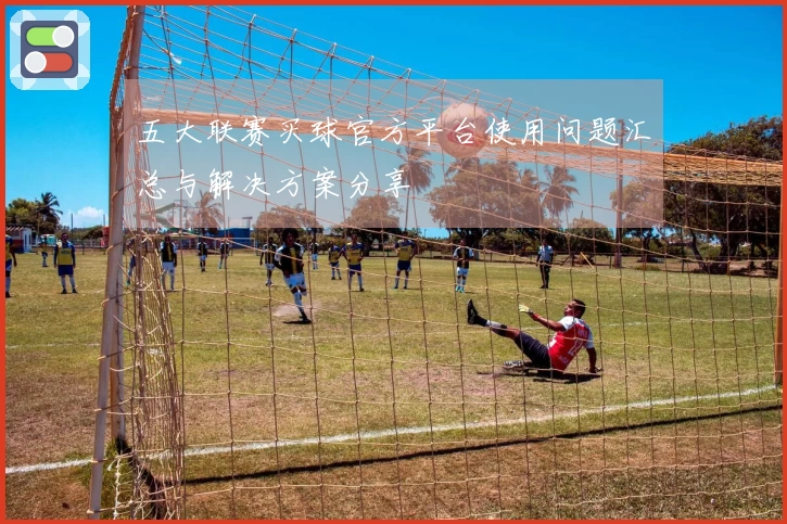 五大联赛买球官方平台使用问题汇总与解决方案分享