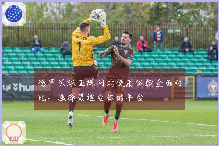 德甲买球正规网站使用体验全面对比，选择最适合你的平台