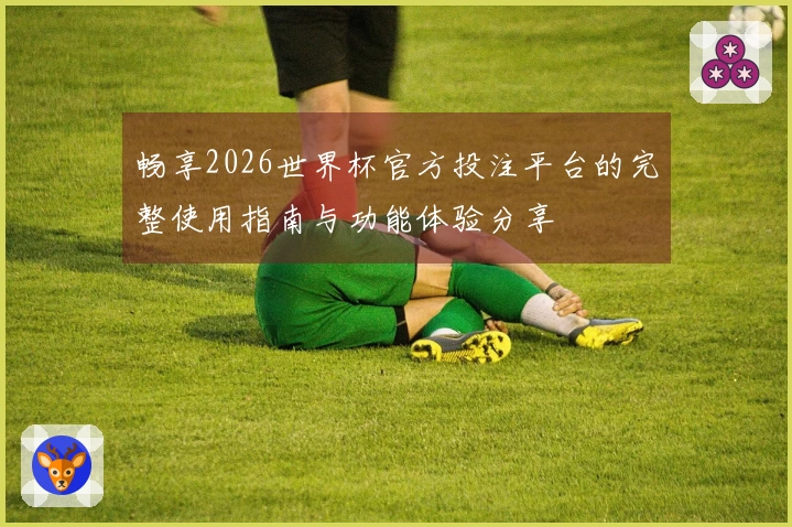 畅享2026世界杯官方投注平台的完整使用指南与功能体验分享